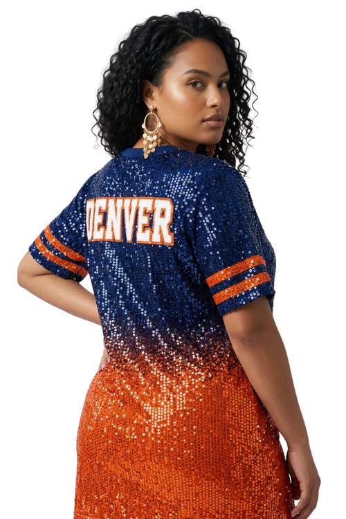 Denver Ombre Sequin Dress