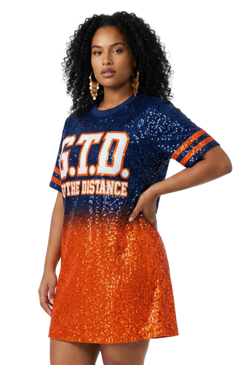 Denver Ombre Sequin Dress