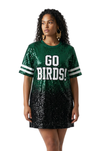 Philadelphia Ombre Sequin Dress