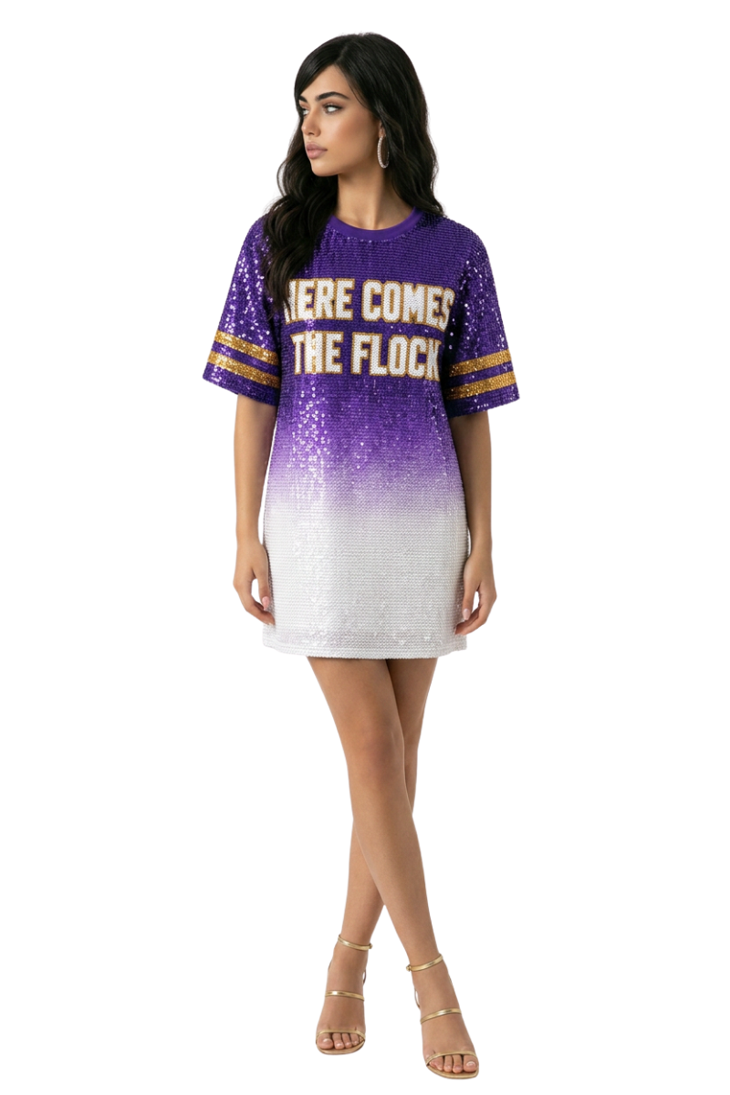 Baltimore Ombre Sequin Dress