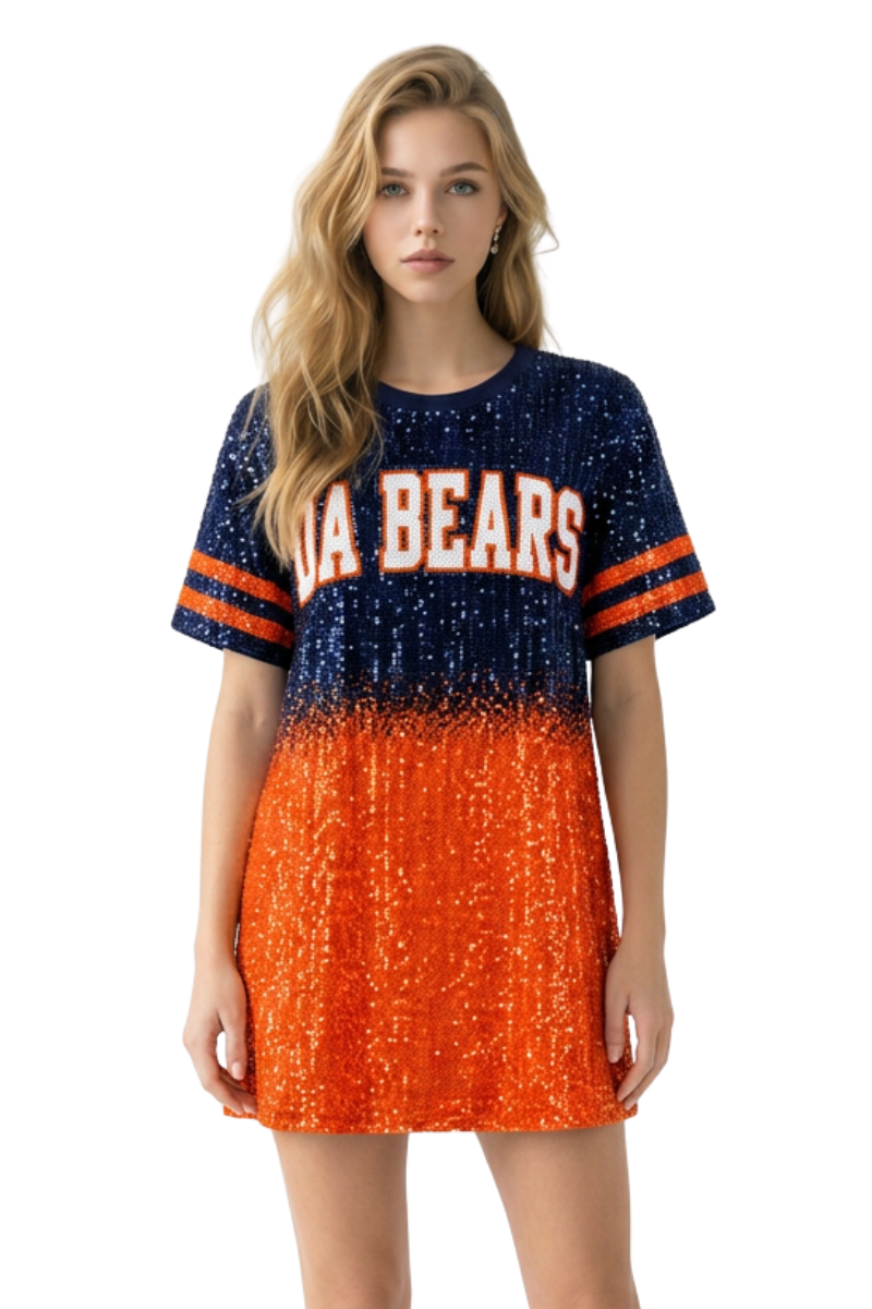 Chicago Ombre Sequin Dress