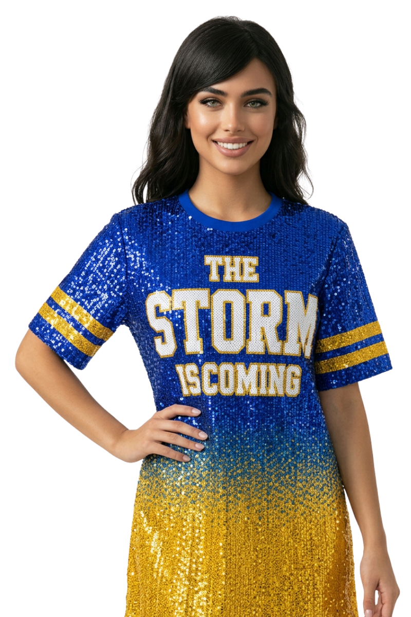 Los Angeles Ombre Sequin Dress