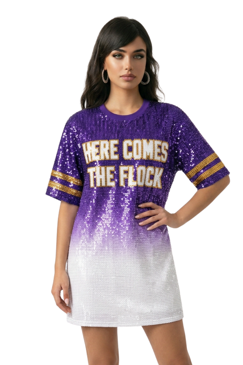 Baltimore Ombre Sequin Dress