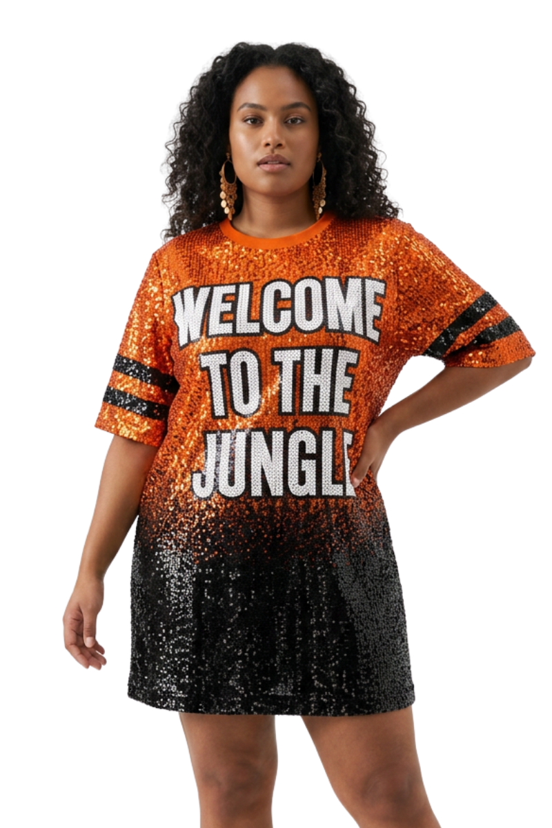 Cincinnati Sequin Ombre Dress