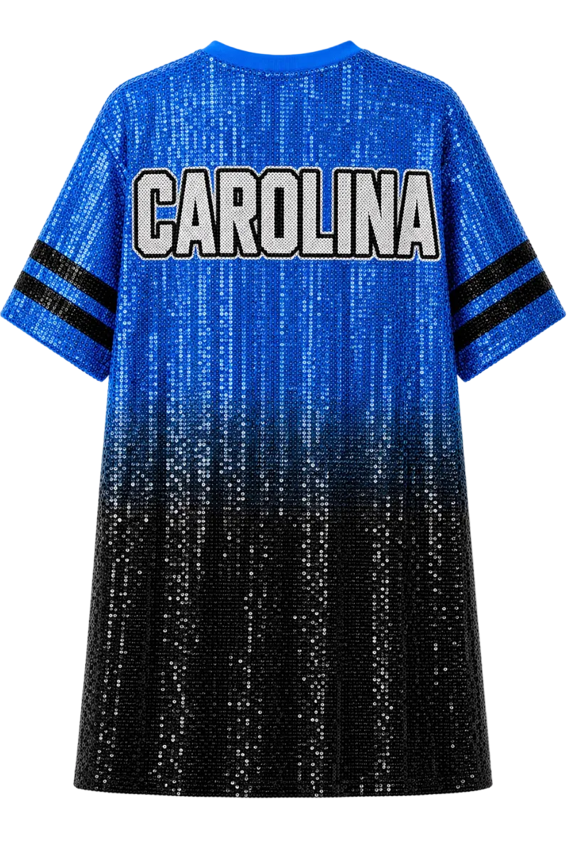 Carolina Ombre Sequin Dress
