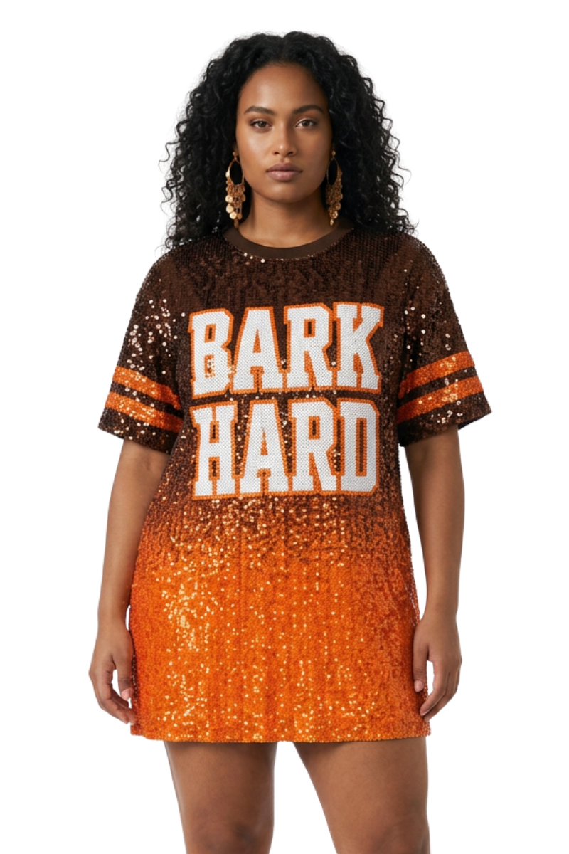 Cleveland Ombre Sequin Dress