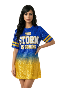 Los Angeles Ombre Sequin Dress