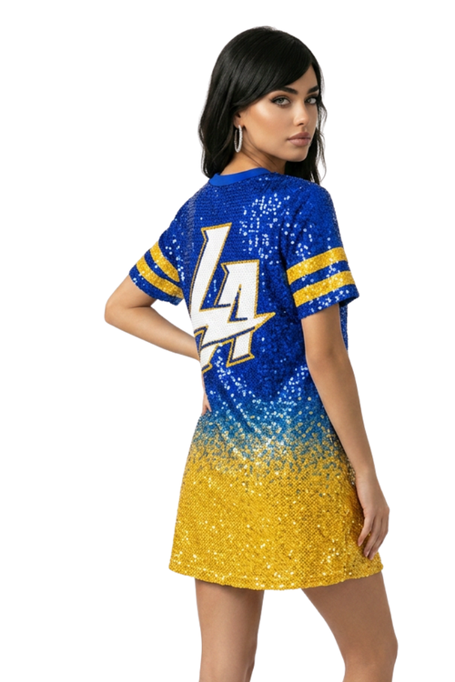 Los Angeles Ombre Sequin Dress